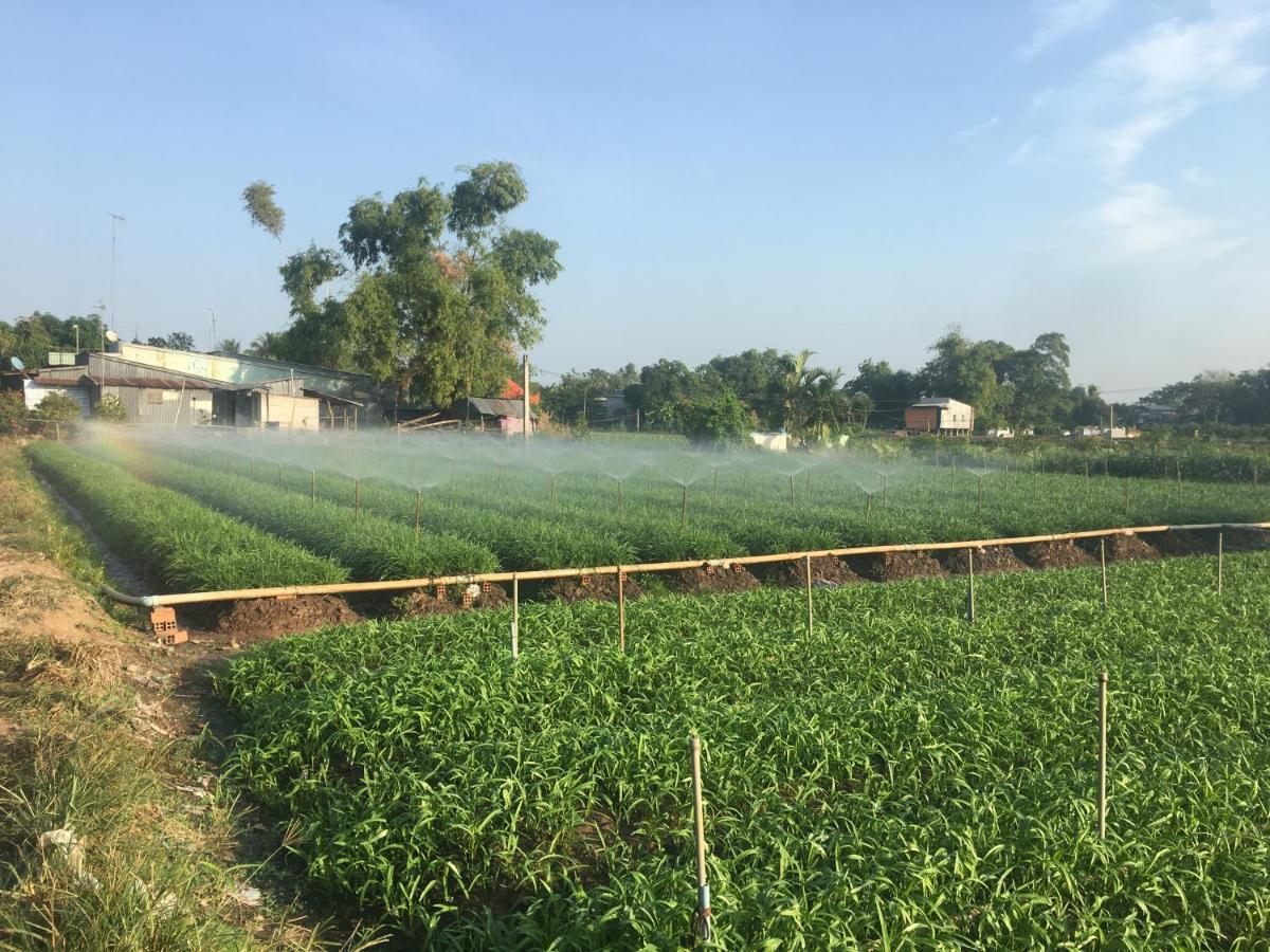 Chau Doc Homestay Εξωτερικό φωτογραφία